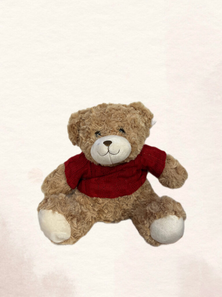 Meškutis su raudonu megstuku