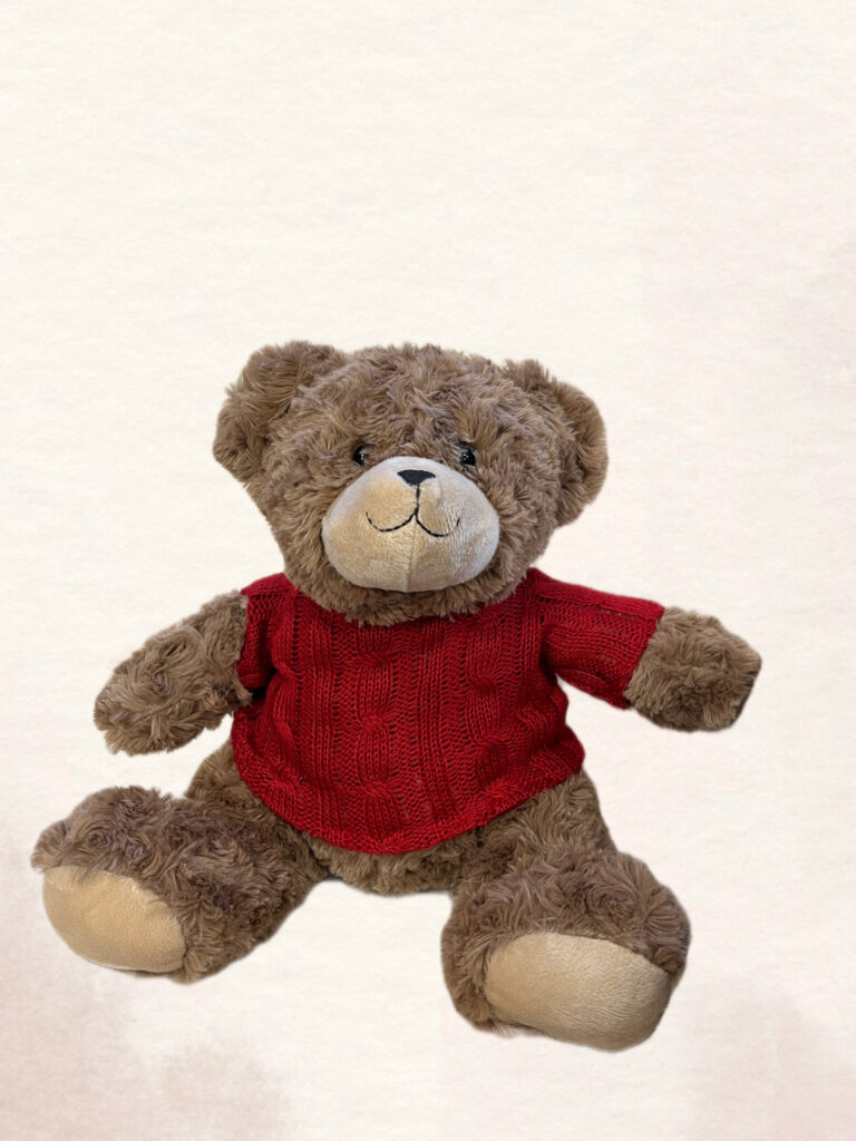 Meškutis su raudonu megstuku