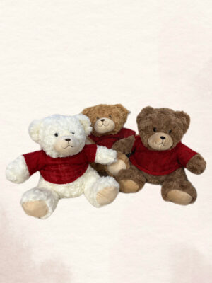 Meškutis su raudonu megstuku